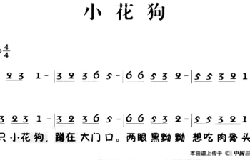第13周家长园地